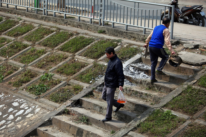 Cá chép chết nổi khi vừa được thả ở sông Tô Lịch